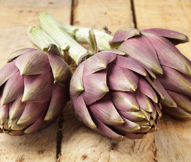 how to pick artichokes