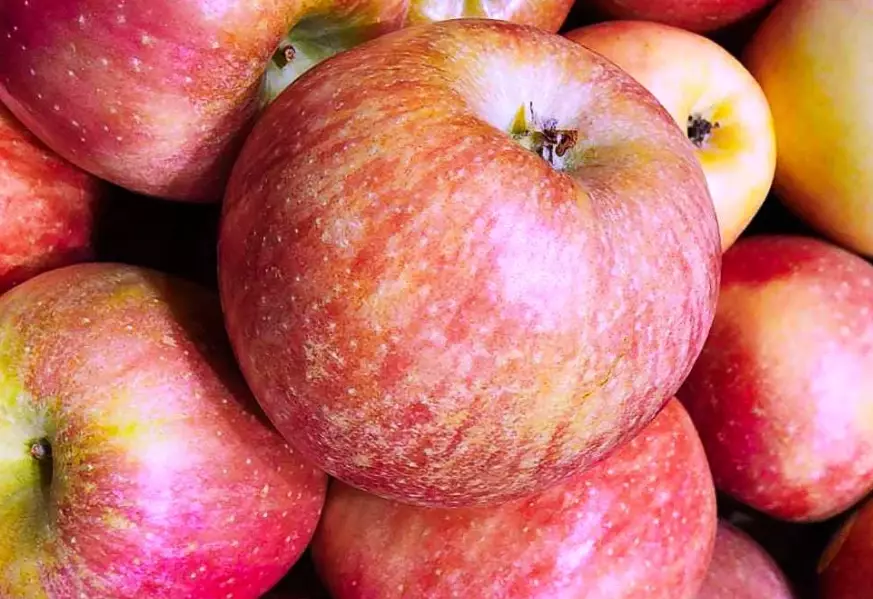 best apples for apple pie