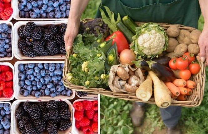 fruits and veggies in season