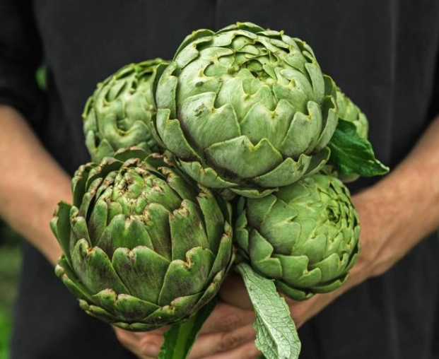 how to tell if artichoke is bad
