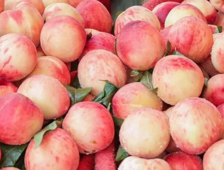 peach flavor pairings