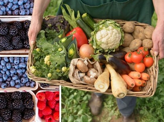 what fruit is in season in june what fruit is in season in june