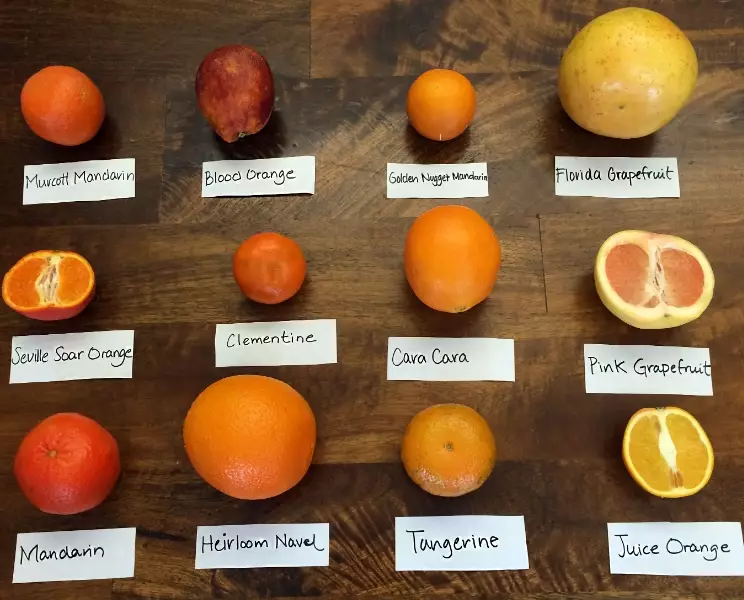 june fruit list june fruit list