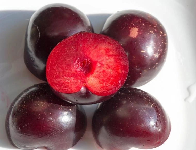 red flesh plum varieties