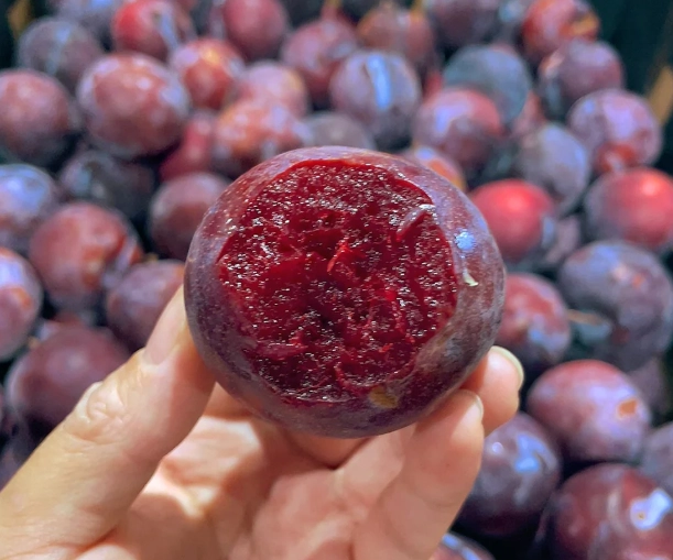 red flesh plum varieties