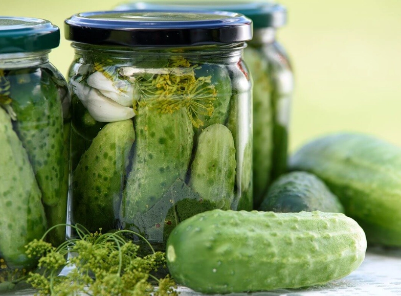 when to harvest pickling cucumbers
