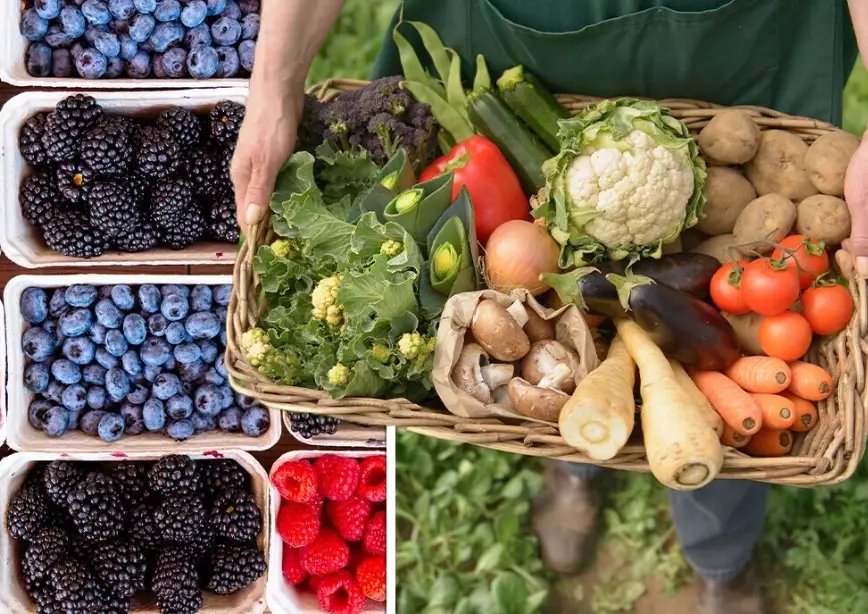 what fruits are in season now