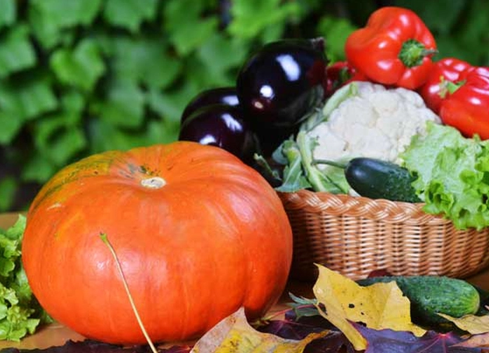 fruits in season september