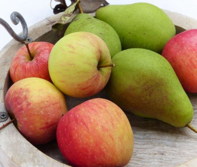 best september fruit best september fruit