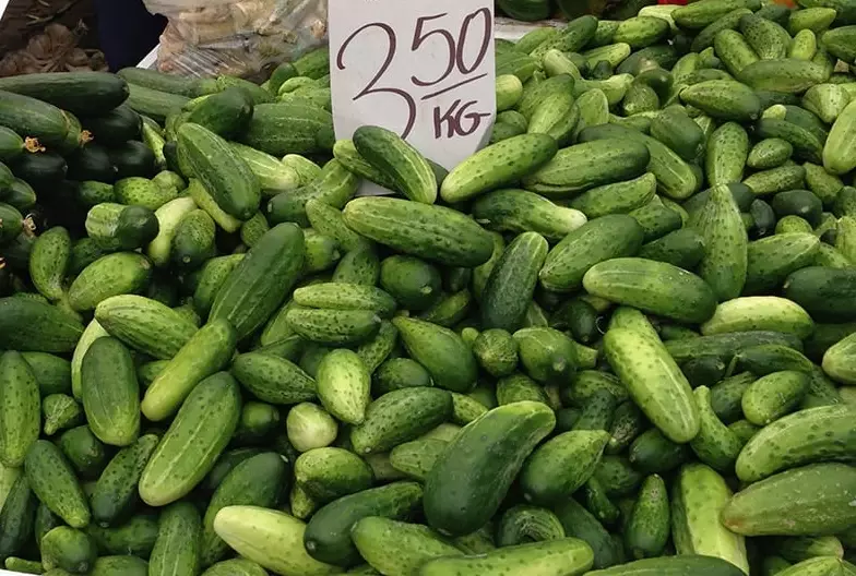 best cucumbers for pickles best cucumbers for pickles