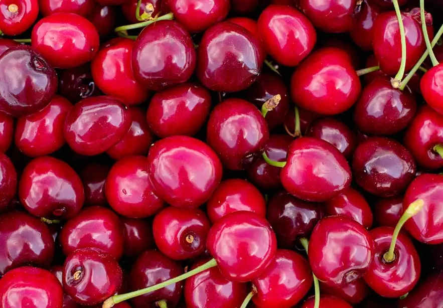 summer fruits list summer fruits list