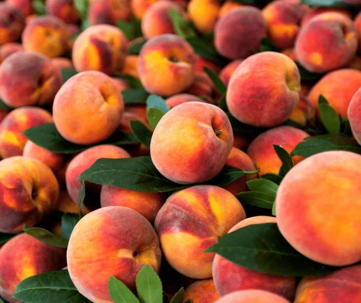 fruits in season in august