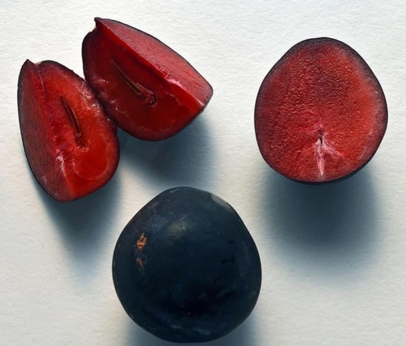 how to choose plums