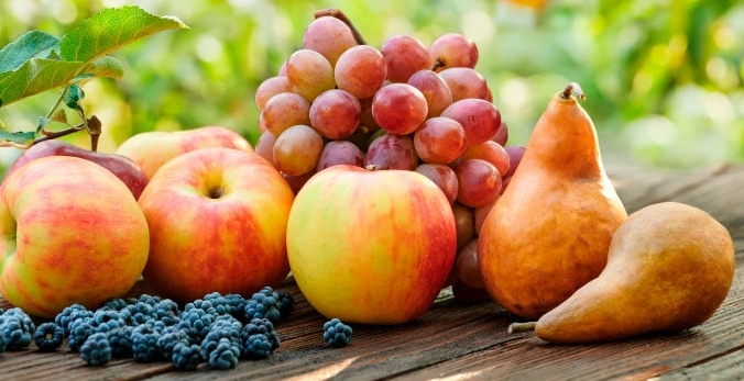 fruits in season march