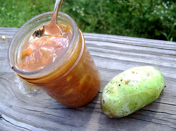 recipes using pawpaw fruit