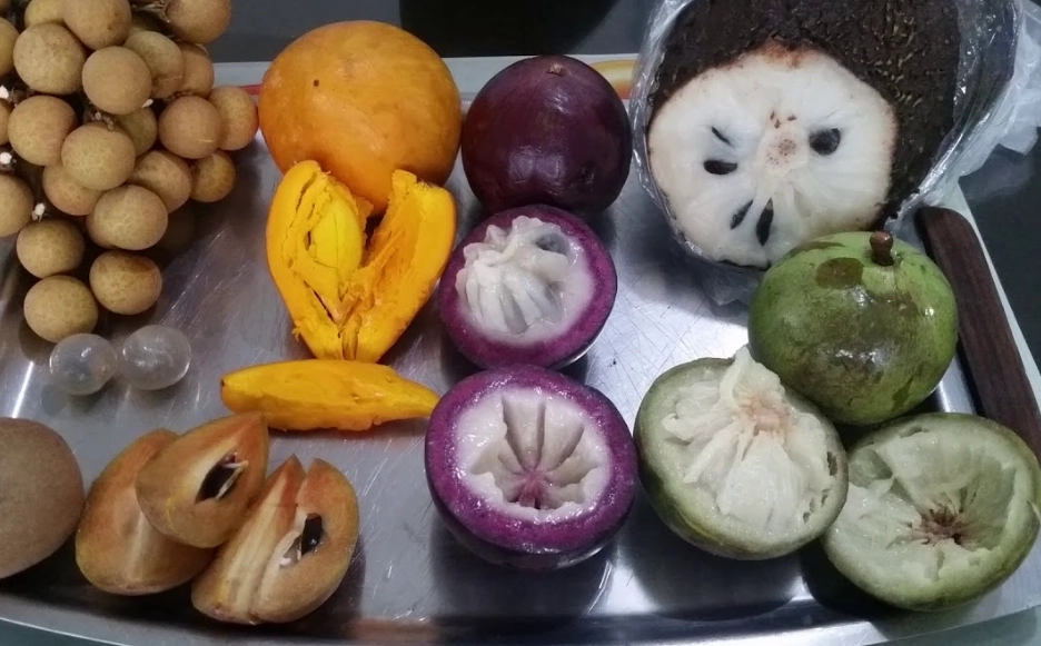 what fruit is in season in march