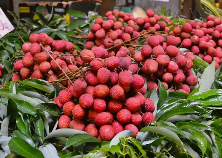 march seasonal fruits