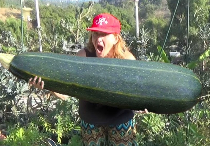 giant zucchini recipes