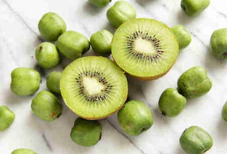 when are kiwis in season when are kiwis in season