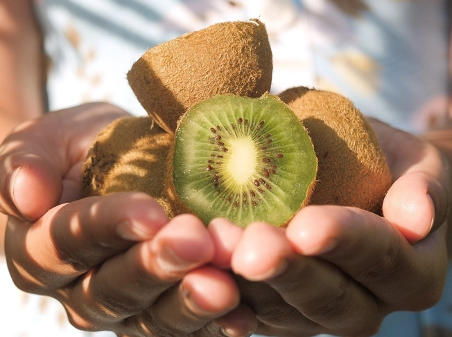 kiwi season