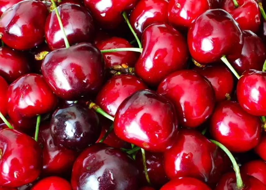 cherry season cherry season