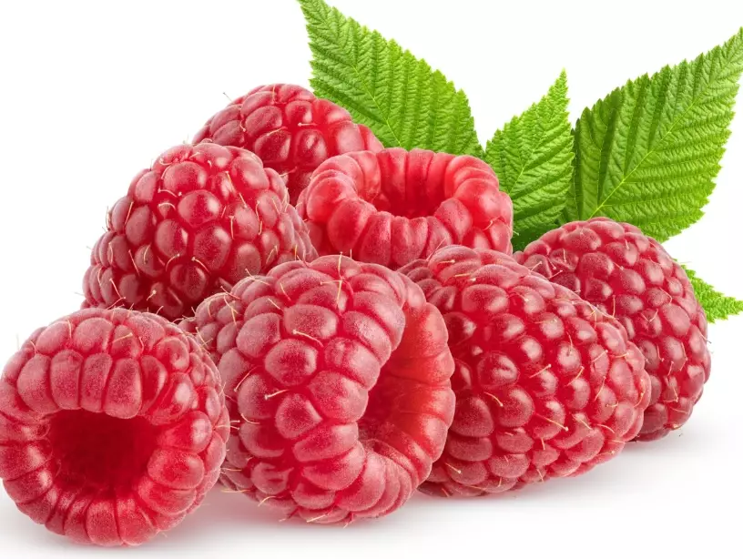 raspberry seed oil benefits