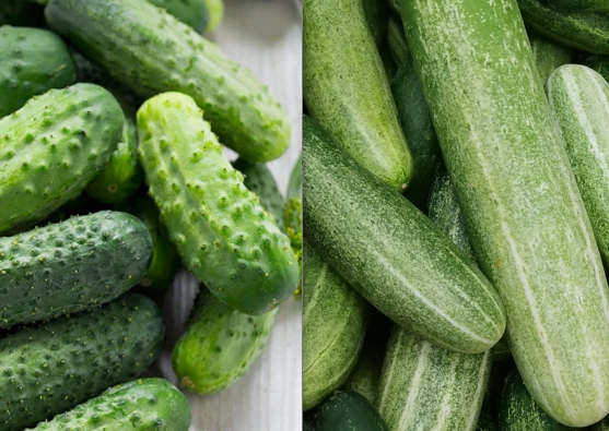 cucumber differences cucumber differences