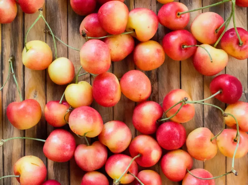 cherry season guide