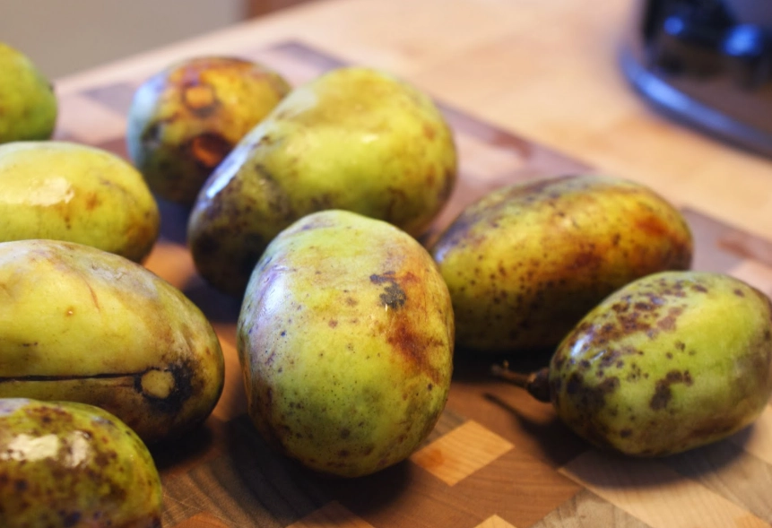 what does paw paw taste like what does paw paw taste like