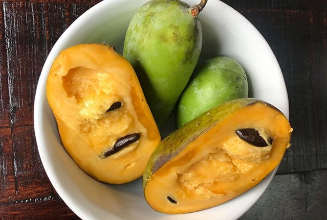 savory paw paw recipes savory paw paw recipes