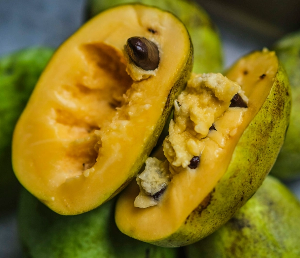 Paw paw fruit recipes cookies
