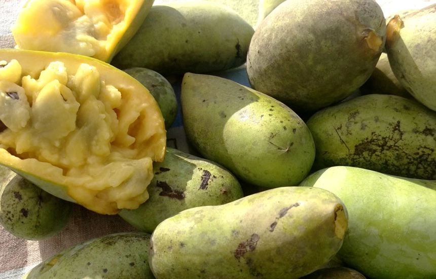 how to cook paw paw how to cook paw paw