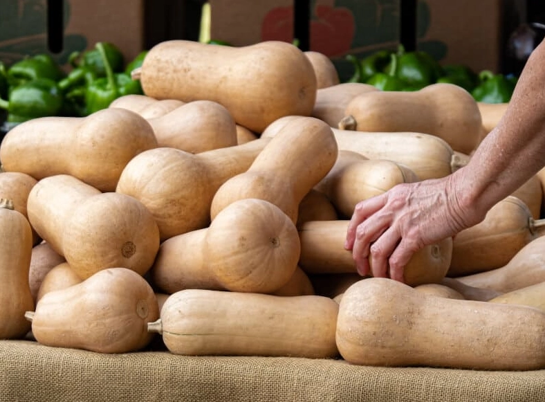 ripe butternut squash recipes ripe butternut squash recipes