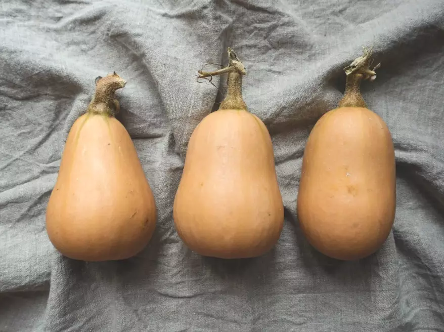 ripe butternut squash recipes ripe butternut squash recipes