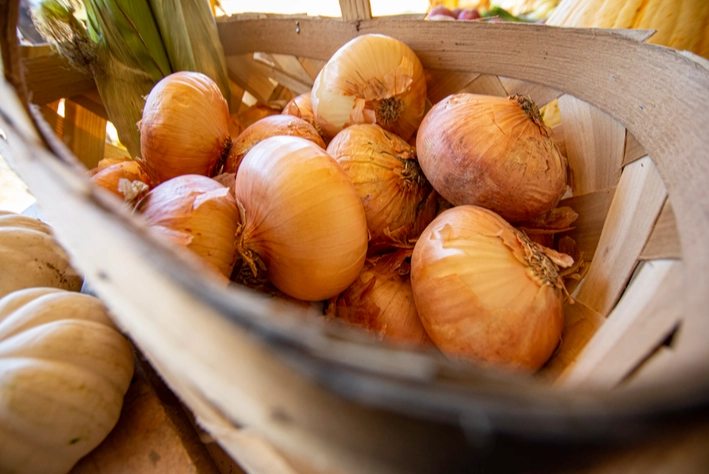 sweet onion vs regular onion sweet onion vs regular onion