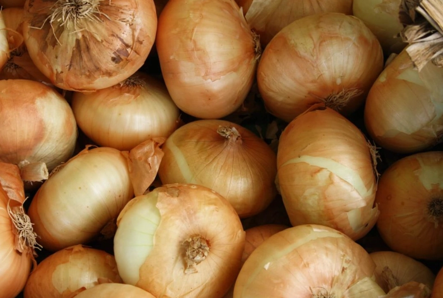 Sweet Onion vs Vidalia Onion Sweet Onion vs Vidalia Onion