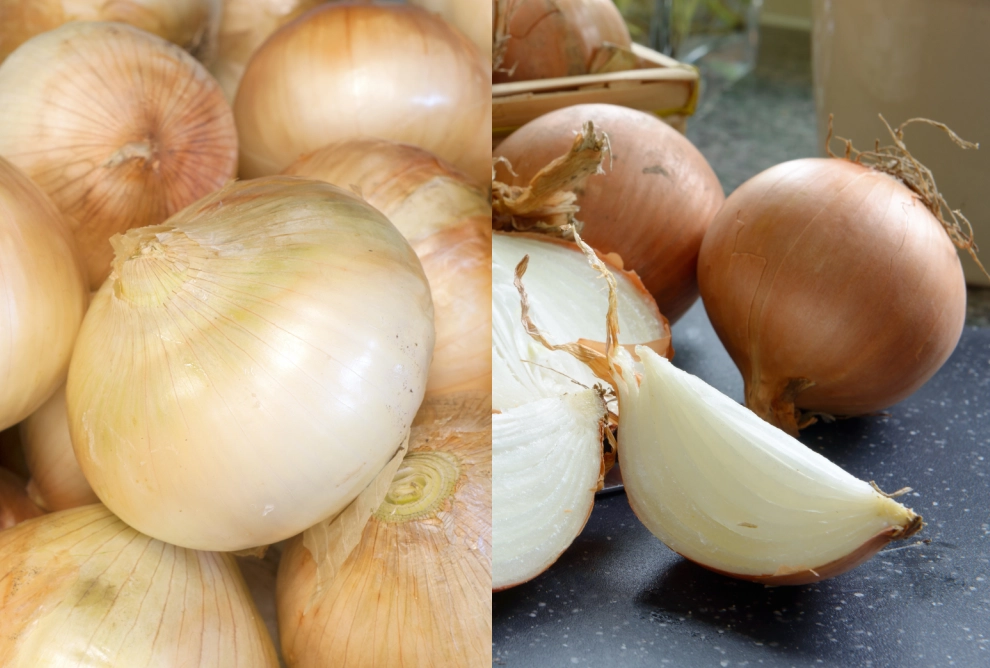 cooking with onions cooking with onions