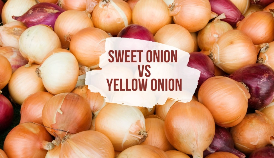 caramelized onions recipe