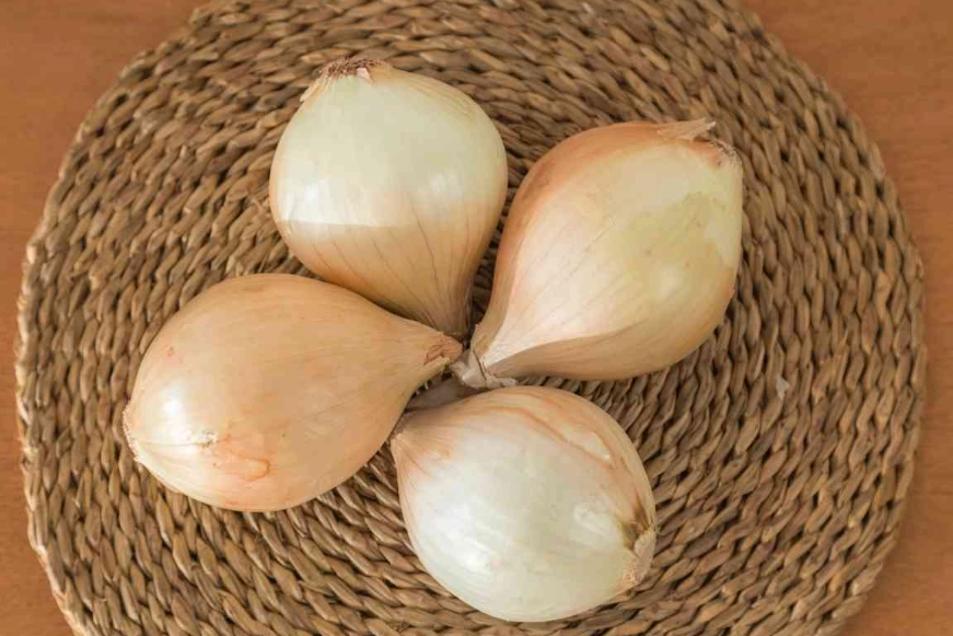 Sweet Onion Sweet Onion