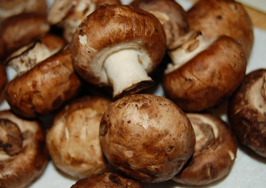 What is another name for cremini mushrooms?